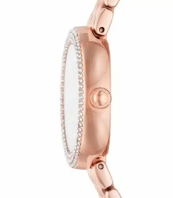 Montre Femme Emporio Armani AR11372 2