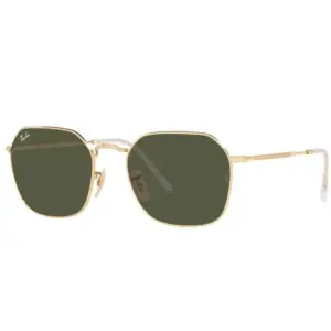 Lunette de Soleil Ray-Ban JIM RB3694 001/31