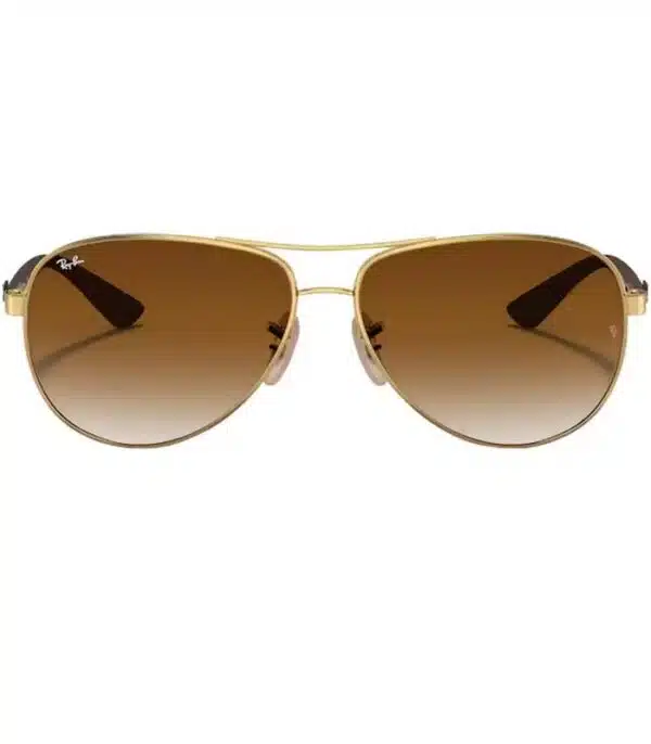 Lunette de Soleil Ray-Ban RB8313 001/51 2
